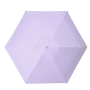 コールドフォグバイオレット