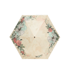 シャクヤクの春