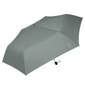 灰色（はいいろ）